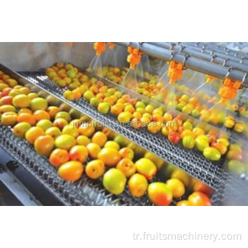 Endüstriyel Meyveler Sebze Yıkama ve Kurutma Makinesi